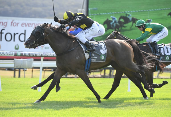 Tinkermosa wins the Belle of the Turf - image Steve Hart
