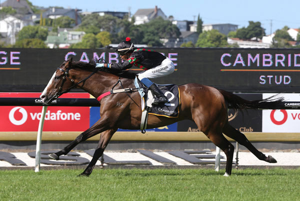 Tiptronic dashes clear to add a second Group One victory to his career record as he takes out the Gr.1 Cambridge Stud Zabeel Classic (2000m) at Ellerslie Photo Credit: Trish Dunell