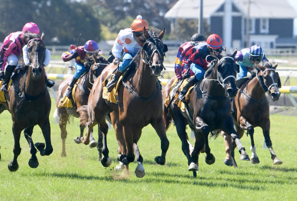 Comeback galloper Titled strides clear to claim the Landmark City of New Plymouth Cup (1800m) on Friday.   Photo: Peter Rubery (Race Images Palmerston North)