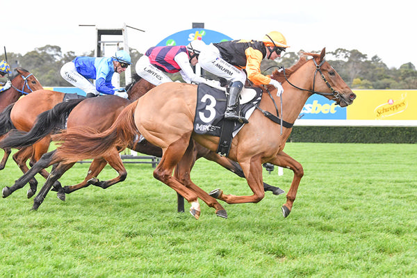 Hanseatic's Tiz Worthy Records Her Second Win - Image Racing Photos