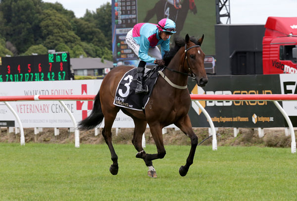 To Catch A Thief will contest the Gr.3 Fairview Matamata Slipper (1200m) on Saturday. Photo: Trish Dunell