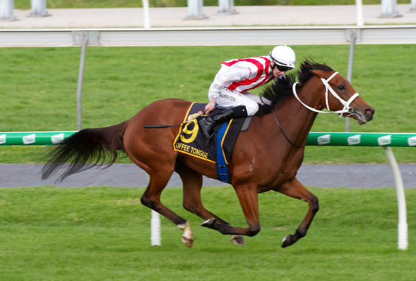 Toffee Tongue wins the SA Australasian Oaks - image Atkins Photography  