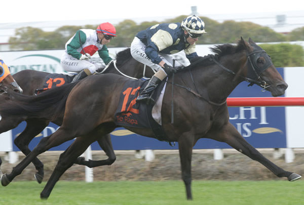 Andrew Calder has Tokorangi at full stretch as she cruises clear to win the G2 Legacy Lodge Waikato Guineas (2000m) Photo Credit: Trish Dunell