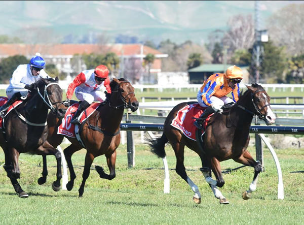 Tokyo Tycoon winning at Hastings on Saturday. Photo: Peter Rubery (Race Images Palmerston North)