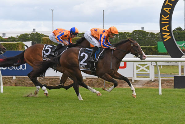 Impressive juvenile winner Tokyo Tycoon Photo: Race Images – Megan Liefting