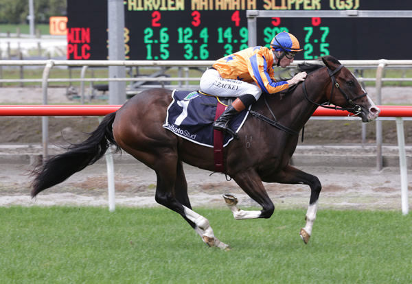  Tokyo Tycoon is in full flight as he takes out the Gr.3 Fairview Matamata Slipper (1200m) Photo: Trish Dunell