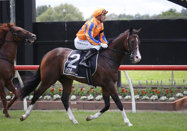 Opie Bosson and Tokyo Tycoon after their win at Pukekohe Photo Credit: Kirstin Ledington