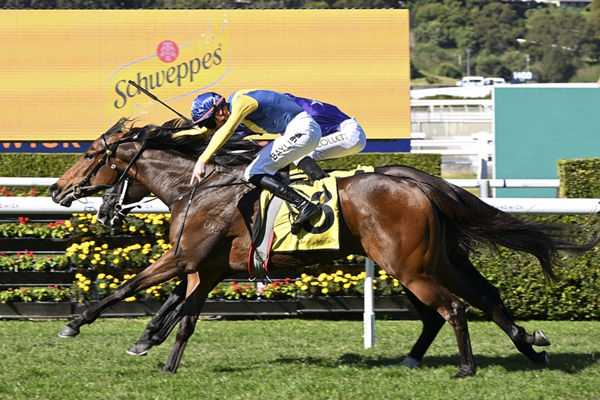 Exciting Too Darn Hot Filly Tomato Toastie Records Back To Back Wins - Image Bradley Photos