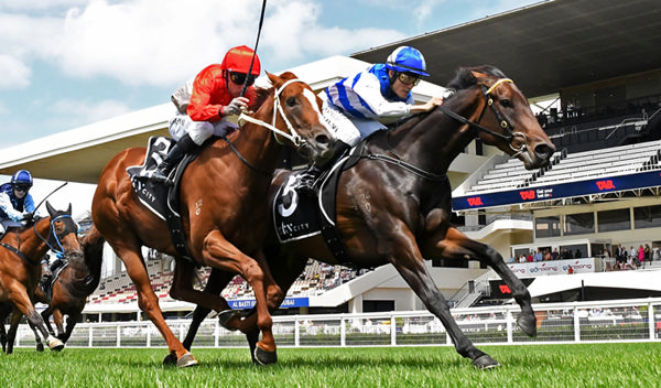Tomodachi (outside) will contest the Gr.1 BCD Group Sprint (1400m) at Te Rapa on Saturday.  Photo: Kenton Wright (Race Images)