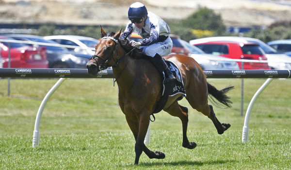 Too Sweet winning the Gr.2 SKYCITY Eclipse Stakes (1200m) at Ellerslie on New Year's Day.   Photo: Kenton Wright (Race Images)