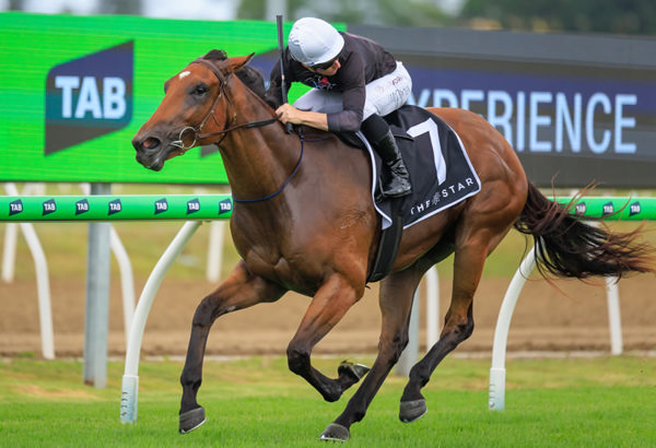 Toorak Jewel wins with ease - image Grant Courtney