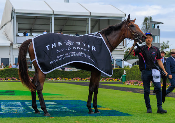 Toorak Jewel banked $300,000 and change for her debut win - image Grant Courtney