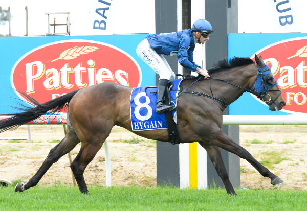 Top Calibre wins on debut at Bairnsdale - image Ross Holburt / Race Photos 