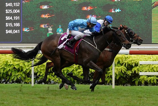 2020 Singapore Derby winner Top Knight was purchased from the MM 2YO's in Training Sale 