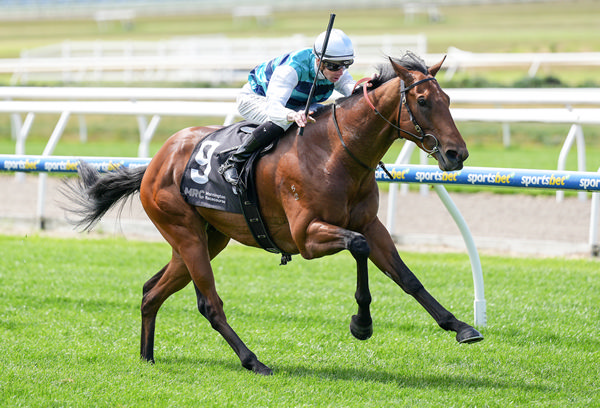 Top Reward won on debut at Mornington - image George Sal / Racing Photos