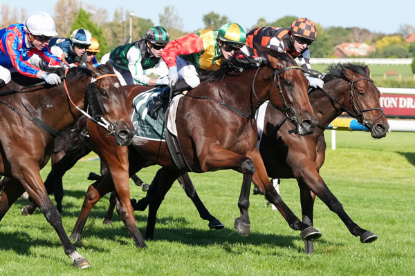 Torranzino ridden by Celine Gaudray wins the Tobin Brothers Celebrating Lives Easter Cup at Caulfield. Photo: George Sal/Racing Photos