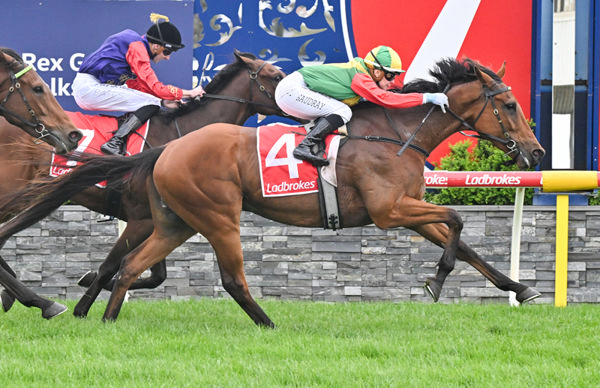 Torranzino ridden by Celine Gaudray wins the Geelong Cup. (Reg RyanRacing Photos)