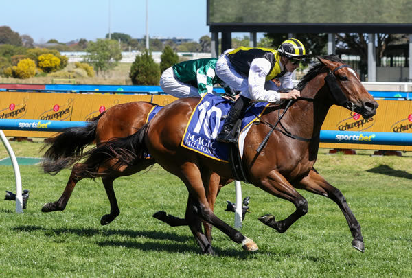 Sword of State filly Torture wins the Listed Debutant Stakes - image Bruno Canatelli