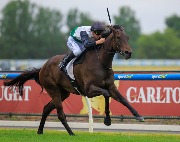 Touchdown is an Almanzor 4YO on the up - image Grant Courtney