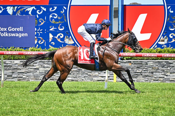 Impressive 3.5 length Victory By $1.3m Vinnie Colt - Image Reg Ryan/Racing Photos