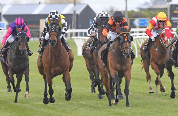 Town Cryer (orange & black) strides away from Prowess to score in the Gr.3 Grangewilliam Stud Taranaki Breeders' Stakes (1400m) Photo: Peter Rubery (Race Images Palmerston North)