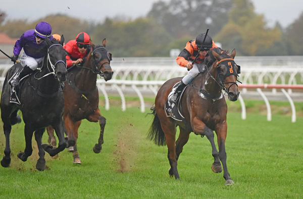 Town Cryer (inside) winning the Listed ANZAC Mile (1600m) at Awapuni on Sunday. Photo: Peter Rubery (Race Images)