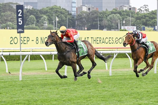 Transatlantic wins the $1million Five Diamonds Prelude - image Bradley Photos 
