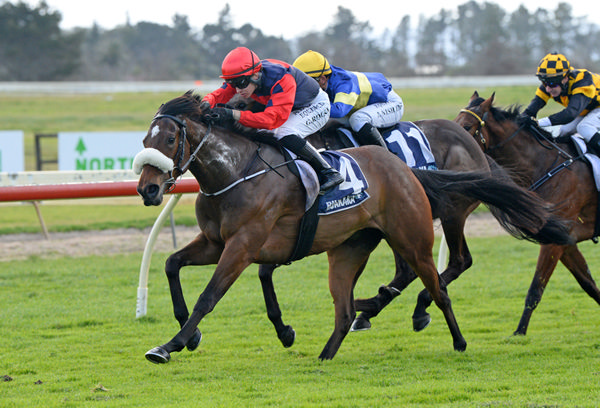 Transcend winning at Ruakaka on Wednesday.  Photo: Therese Davis (Race Images)