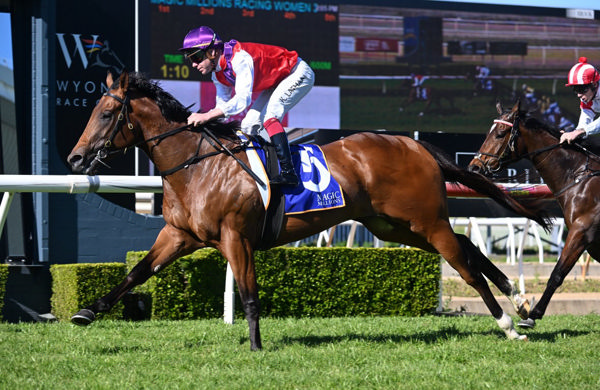 Transgress wins on debut at Wyong - image Steve Hart