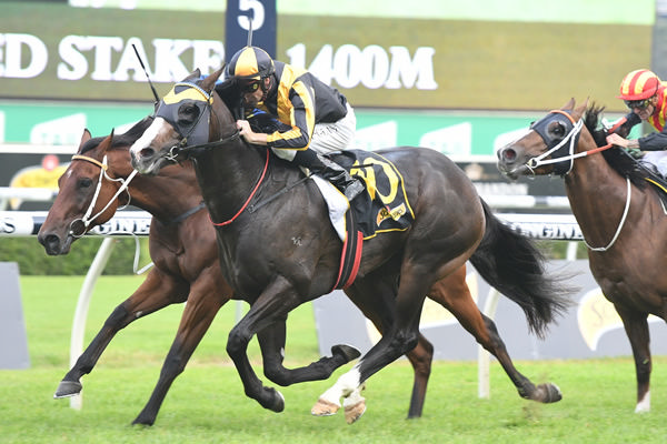 Trapeze Artist wins the G1 All Aged Stakes as a 3YO colt - image Steve Hart 