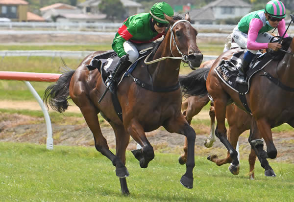 Trav winning at Awapuni on Friday. Photo: Peter Rubery (Race Images Palmerston North)