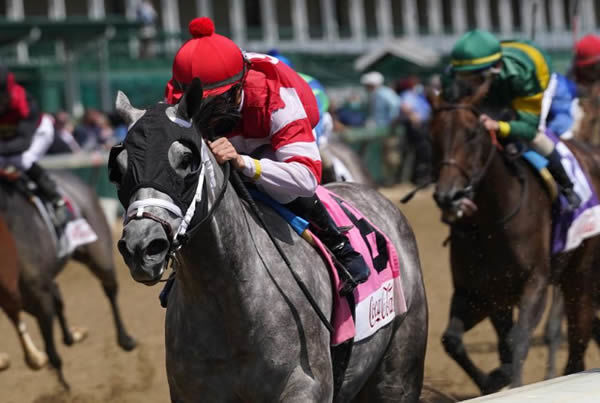 2YO Frosted filly Travel Column will contest a Group I race on Friday.