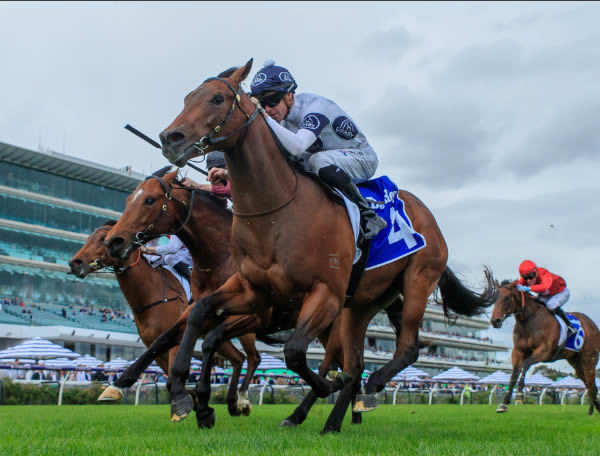 Tremonti fights back to win the Listed Maribyrnong Trial - image Grant Courtney 