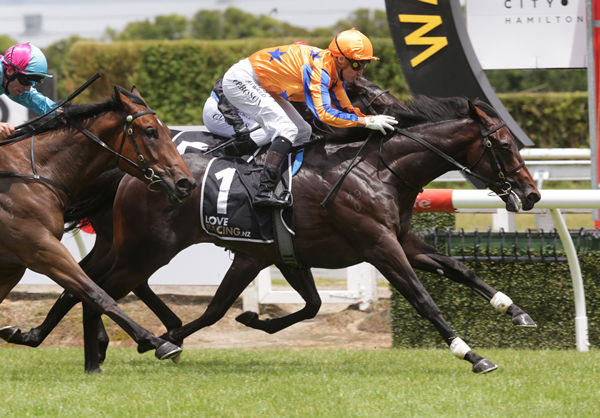 Trobriand will contest the Gr.2 Carlaw Park Eclipse Stakes (1200m) at Te Rapa on Sunday. Photo: Trish Dunell