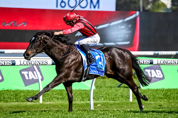 Tropical Squall is the lone G1 winner engaged in the Oaks - image Steve Hart