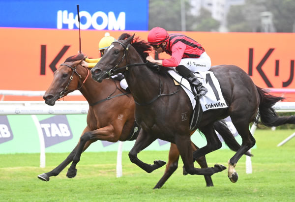 Two time G1 winner Tropical Squall has had her last win in the Gooree Stud colours - image Steve Hart