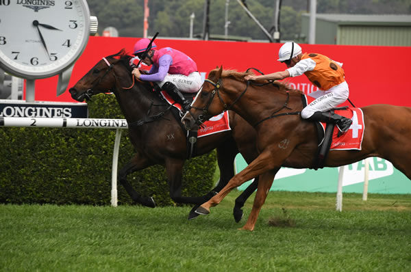 Trumbull wins the G3 Sydney Stakes - image Steve Hart