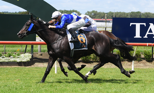 Trust In You winning the Gr.3 Queen Elizabeth II Cup (2400m) at Pukekohe on New Year’s Day.  Photo: Kenton Wright (Race Images)