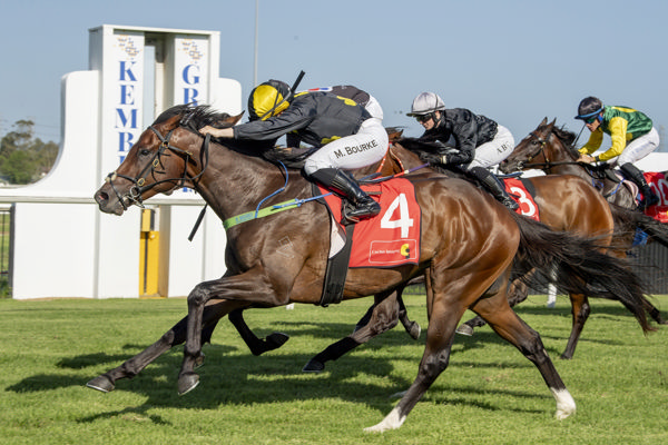 Tsarevich wins at Kembla in the last stride - image Bradley Photos