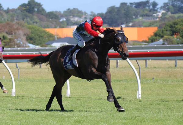 Tshiebwe winning the Listed Steelform Roofing Group Wanganui Cup (2040m) on Saturday.  Photo: Jane Davidson