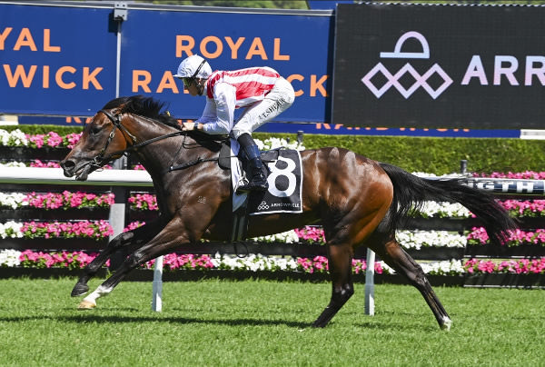 Tuileries was impressive at Randwick on Boxing Day - image Bradley Photography