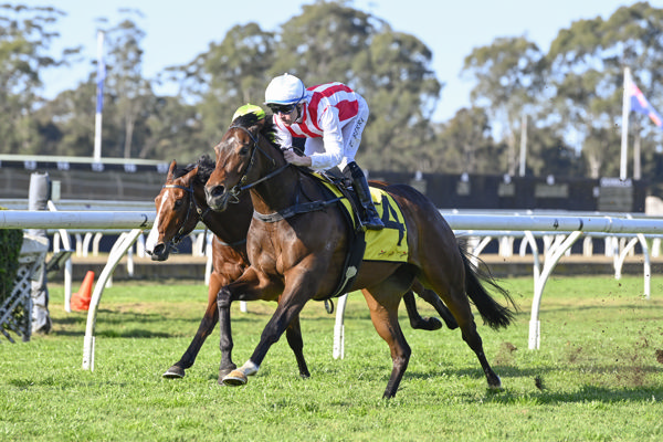Tuileries wins in style at Warwick Farm - image Bradley Photography 
