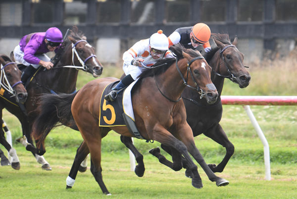 Tulsi will contest the Gr.1 Courtesy Ford Manawatu Sires’ Produce Stakes (1400m) at Awapuni on Saturday. Photo: Peter Rubery (Race Images)