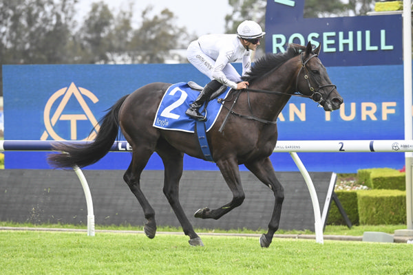 The Trilogy colours are on a winning roll, Tuned winning the $300,000 The Gateway at Eagle Farm on Saturday - image Bradley Photos