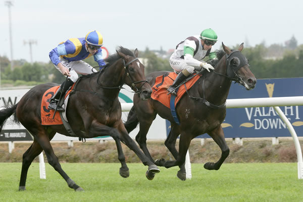 Turn The Ace (outer) and Ryan Elliot win the Listed Waikato Equine Veterinary Centre 2YO Stakes (1100m) at Te Rapa. Photo: Trish Dunell