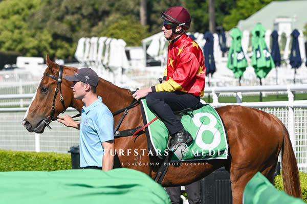 Tuscany did everything right at the trials on Monday - mage Lisa Grimm