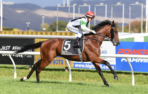 Tutukaka will contest the Listed The Phoenix (1500m) at Eagle Farm on Saturday. Photo: Race Images