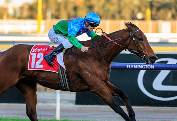 Tuvalu wins the Listed Winter Championship - image Grant Courtney