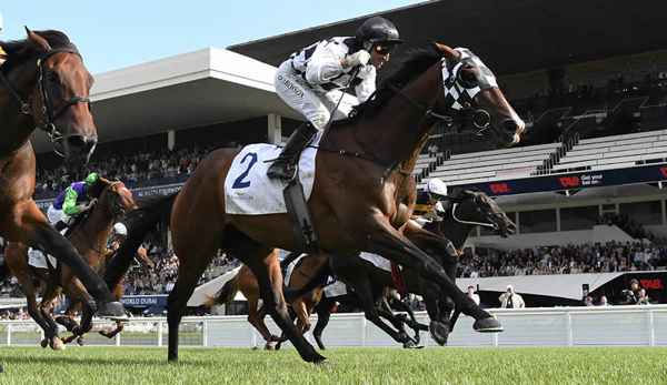 Tuxedo winning the Gr.3 Elsdon Park Aotearoa Classic (1600m) at Ellerslie on Saturday.  Photo: Kenton Wright (Race Images)