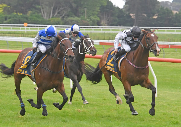 Tuxedo winning the Gr.3 Elsdon Park Wellington Stakes (1600m) at Otaki on Thursday.   Photo: Peter Rubery (Race Images Palmerston North)